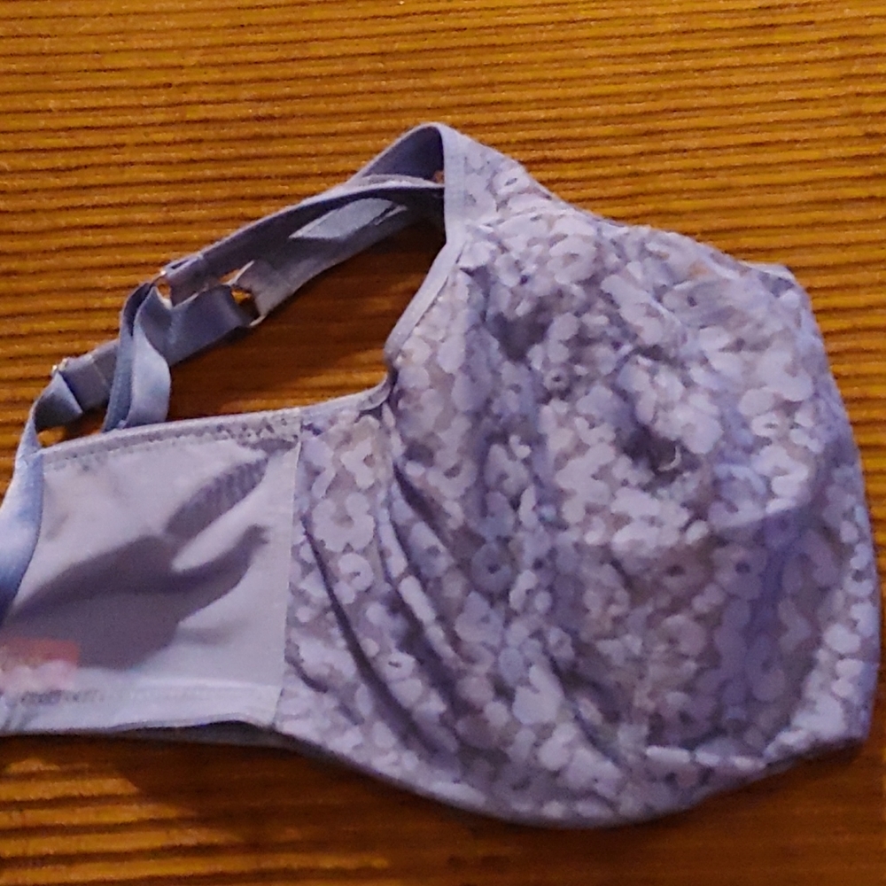 Cleo bra